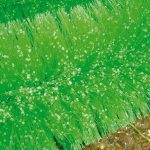 Black Knight Ablaichbürsten 150cm ø 13 cm 2er Box