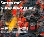 KENJI Koi Color & Growth 5kg – Bild 4