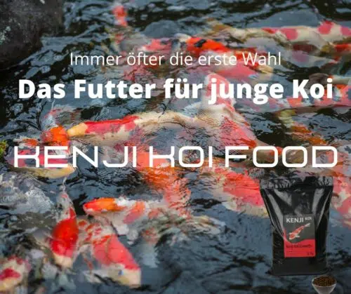 KENJI Koi Color & Growth 5kg – Bild 9