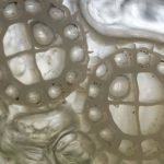 EvolutionAqua K+ Media