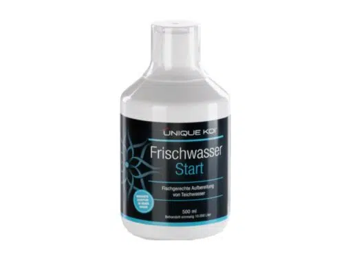 Unique Koi Frischwasserstart – Bild 1