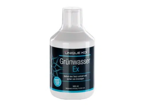 Unique Koi Grünwasser Ex – Bild 1