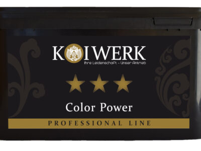 Koiwerk Color Power
