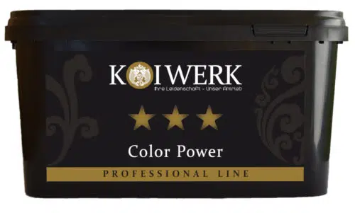 Koiwerk Color Power – Bild 1