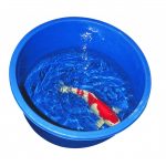 Behandlungsbecken rund