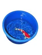 Behandlungsbecken rund