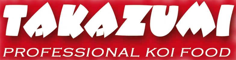 TAKAZUMI