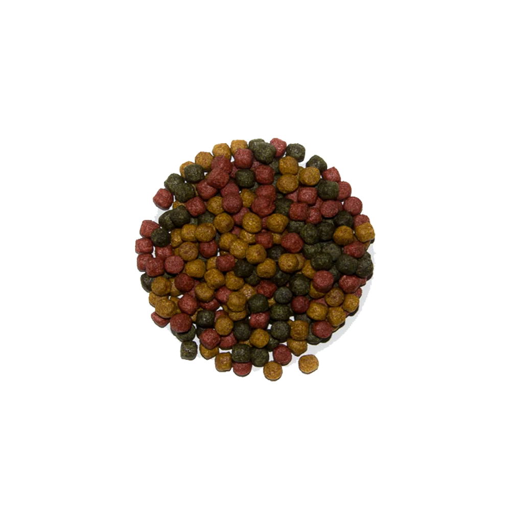 Allround-Mix 2 Säcke KOI PARADISE Allround-Mix 30kg – Bild 1