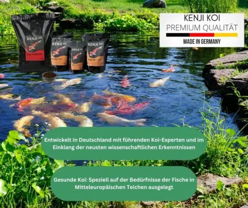 KENJI KOI Baby Koi Food 1 - 250g – Bild 4