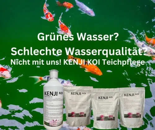 KENJI KOI Schlamm Ex 2,5 Kg – Bild 2