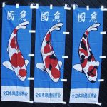 Koi-Fahnen Set