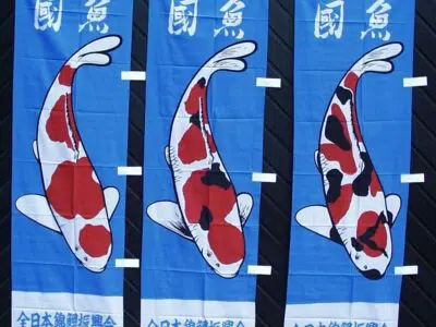Koi-Fahnen Set