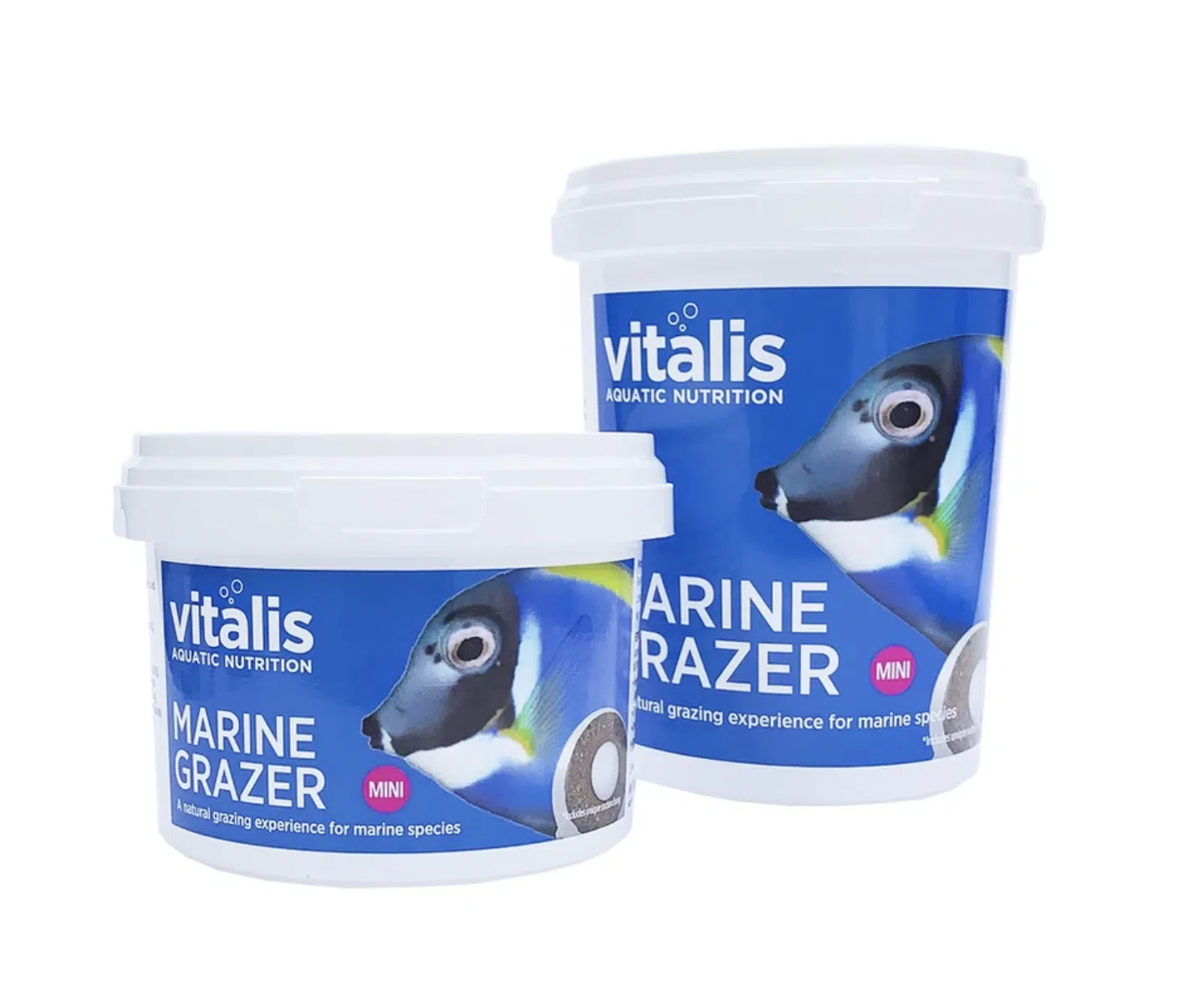 Marine_Grazer_Display Vitalis Mini Marine Grazer – Bild 1