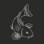 Koi Autoaufkleber mit weißer Kontur 2 Stück