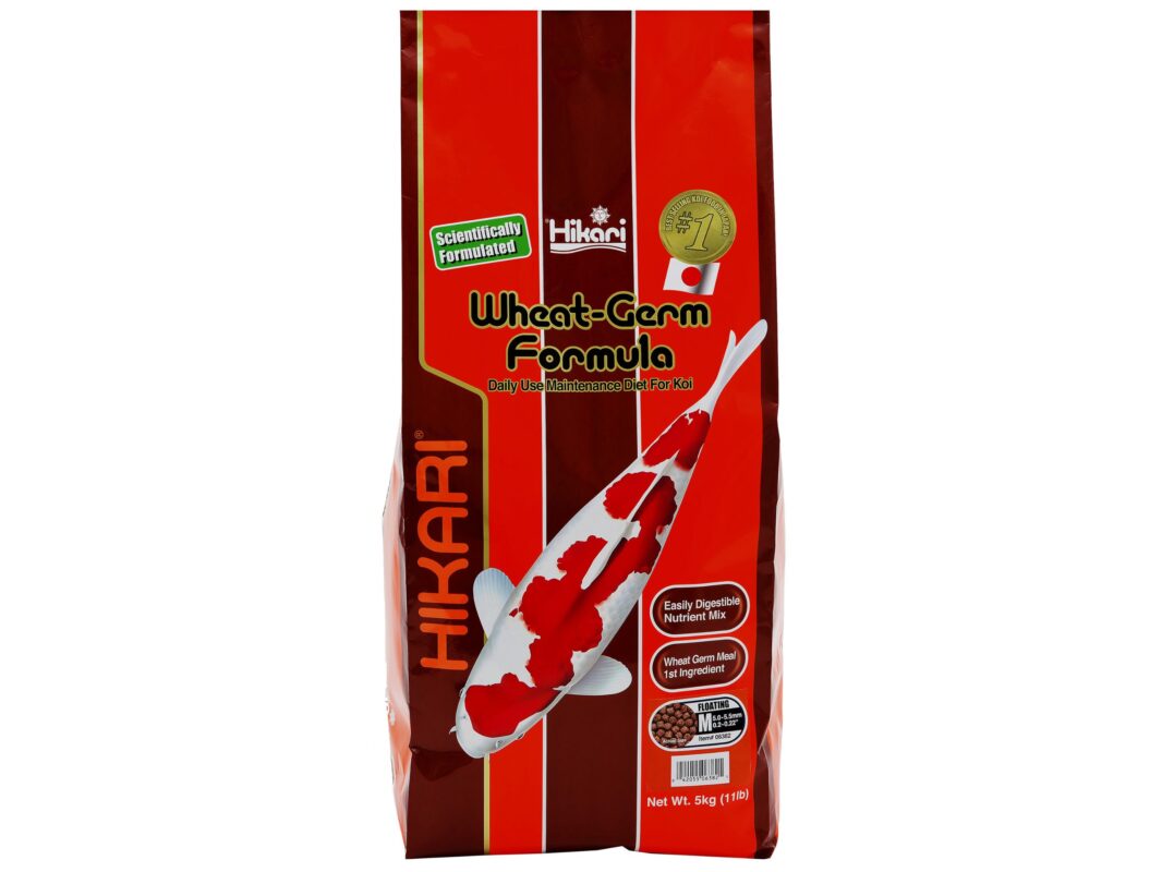 Hikari Wheat Germ