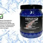 KENJI KOI Bacto-Balls