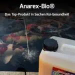 Anarex-Bio - 100% biologisch – Bild 2