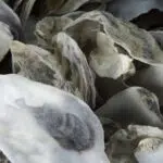 Erhöhen die Karbonathärte und stabilisieren den pH-Wert