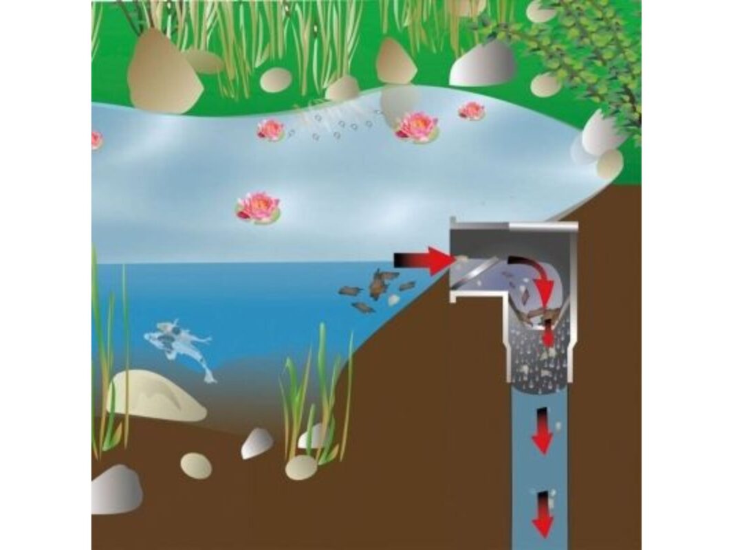 Diagramm eines Teichfiltersystems mit Koi und Wasserpflanzen, zeigt die Wasserzirkulation und Filtration für die Gesundheit des Teiches.
