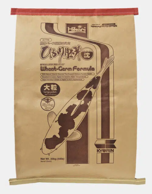 Hikari Wheat Germ Sinking – Bild 4