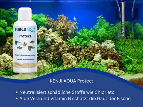 Aquaristikpflege KENJI AQUA Protect