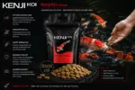 KENJI KOI Chips