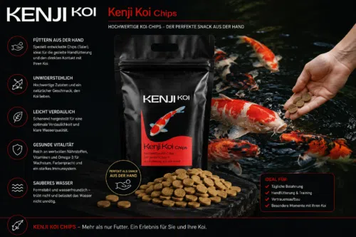 KENJI KOI Chips