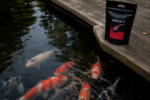 KENJI Koi Growth+ Wachstumsfutter 5kg &ndash; Bild 6