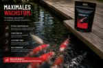 KENJI Koi Growth+ Wachstumsfutter 5kg &ndash; Bild 4
