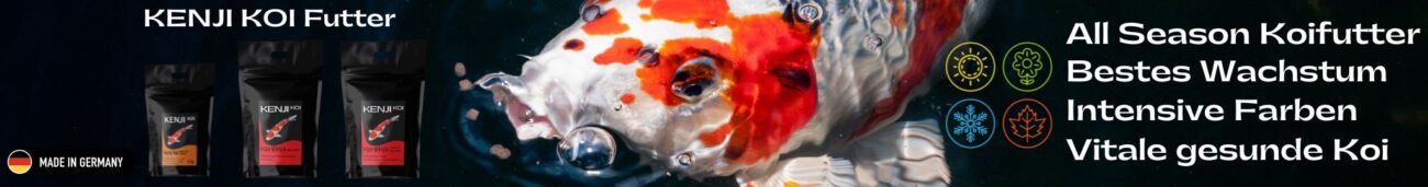 KENJI KOI Futterverpackungen in verschiedenen Geschmacksrichtungen, mit einem Koi-Fisch im Wasser, betont die Qualität und Vorteile des Koifutters, hergestellt in Deutschland, für gesundes Wachstum und intensive Farben.