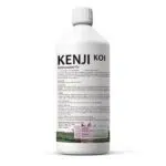 Entfernt Grünes Wasser aus Koi- und Schwimmteichen