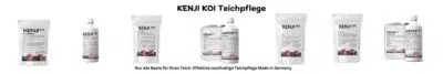 KENJI KOI Teichpflege