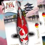 KOI ZANMAI Ausgabe 1/2024