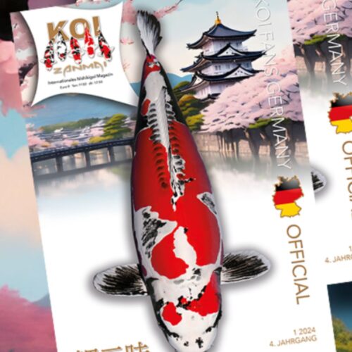 KOI ZANMAI Ausgabe 1/2024 – Bild 1