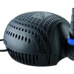 Osaga OSF Schwarze Flunder Eco