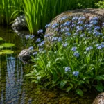 KOI PARADISE