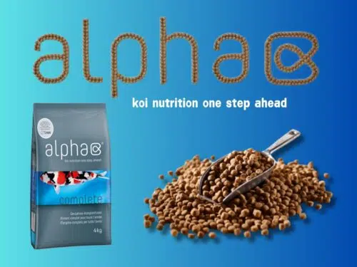 alpha Koifutter Premiumfutter-Paket 5kg – Bild 4
