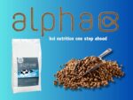alpha ice - sinkend – Bild 4