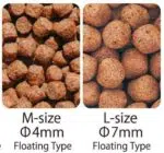 JPD Fujiyama Basis – Bild 4
