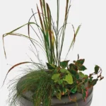 SuperFish Schwimmender Pflanzenkorb