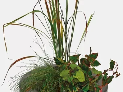 SuperFish Schwimmender Pflanzenkorb